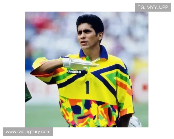 非洲门将离奇失误送礼足协介入调查世界杯梦碎内幕揭秘