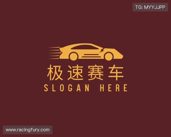 认识极速赛车公司